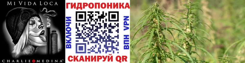 Купить где  Бологое  Бошки Шишки VHQ 